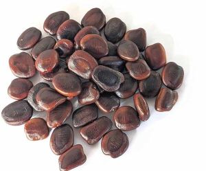 Dried Tamarind Seed