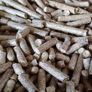 Cotton Stalk Biomass Briquettes