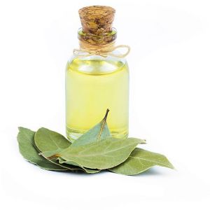 Bay Leaf Oil