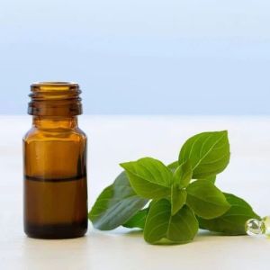 Pure Basil Oil