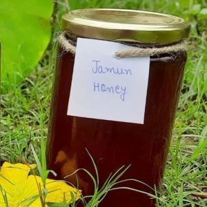 Organic Jamun Honey