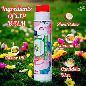 Lip Balm