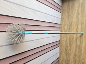 Plastic Cobweb Cleaning Brush