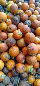 Raw Areca Nut