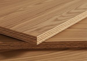 Premium Quality Plywood