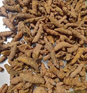 Unpolished Turmeric Finger