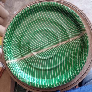 Paper Thali
