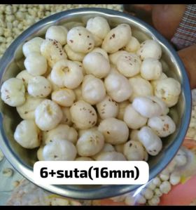 16mm 6 Plus Suta Phool Makhana