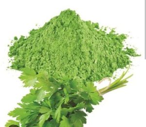 Coriander Leaf Powder
