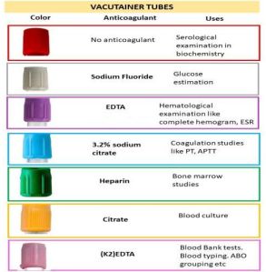 Vacuum Blood Collection Tube