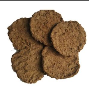 Cow Dung