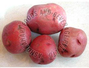 Fresh Red Potato