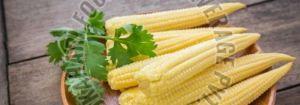 Frozen Baby Corn