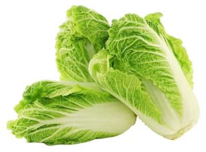 Chinese Cabbage