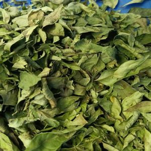 A Grade Dry Curry Leaves