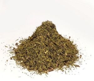 Abies Spectabilis Talispatra Herb