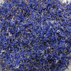 Dried Blue Cornflower