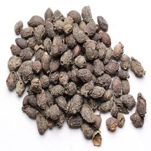 Dried Jamun Seeds