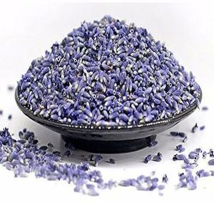 Dry Lavender Flower Buds