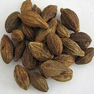 Himachal Harrad Kabuli Terminalia Chebula