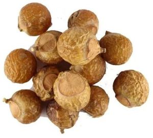 Organic Dried Soap Nuts