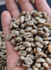 Arabica, Robusta Coffee Beans