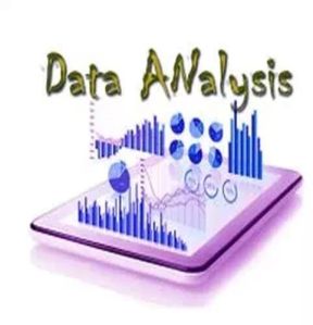 Data Analysis Service