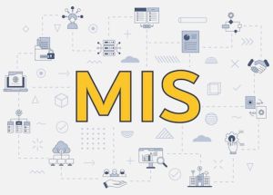 MIS Executive Remote Service