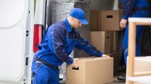 Loading & Unloading Service