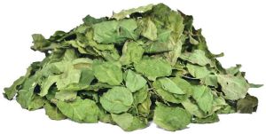 Dehydrated Moringa Leaves