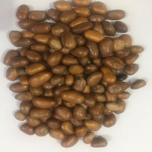 Monodora Myristica Seeds