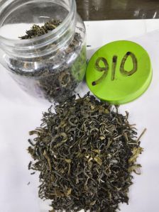 Green Tea, Sftgfop