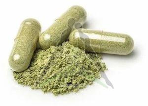 Prostate Health Support Capsule