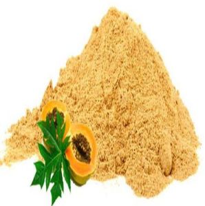 Dehydrated Papaya Powder