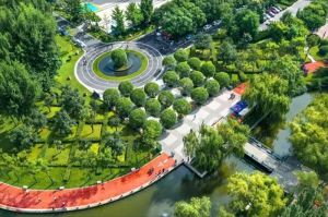 Park Landscaping Services