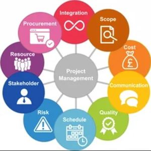 Project Management Services