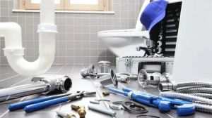 Sanitary Work Service