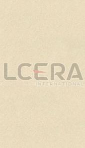 800x2400mm Full Body Ceramic Tiles