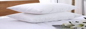 Waterproof Terry Pillow Protector