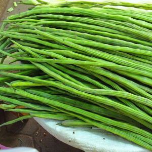 Fresh Green Drumstick