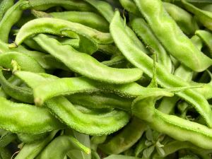 Fresh Green Hyacinth Beans