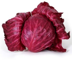 Fresh Red Cabbage