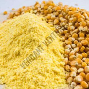 Maize Flour