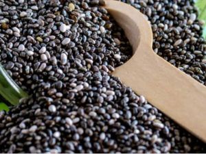 Block Chiya Seed