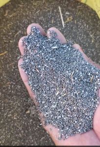 Block Chiya Seed