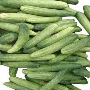 A Grade Fresh Cucumber