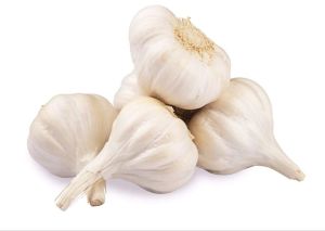 A Grade Fresh Garlic