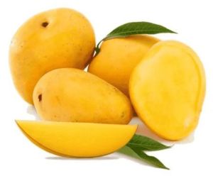 A Grade Fresh Mango