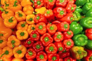 A Grade Organic Bell Pepper