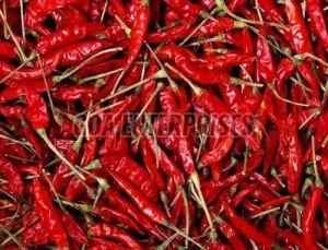 dry red chilli